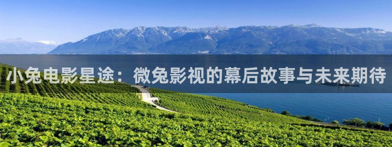 飘雪影院手机免费高清版：小兔电影星途：微兔影视的幕后故事与未来期待