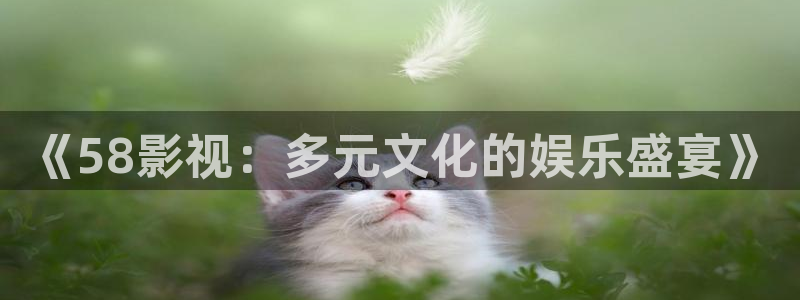 飘雪影院免费版在线观看：《58影视：多元文化的娱乐盛宴》