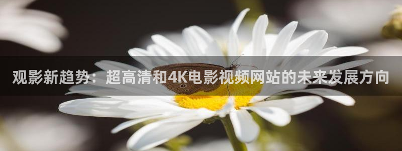 飘雪影院在线观看完整版动漫免费