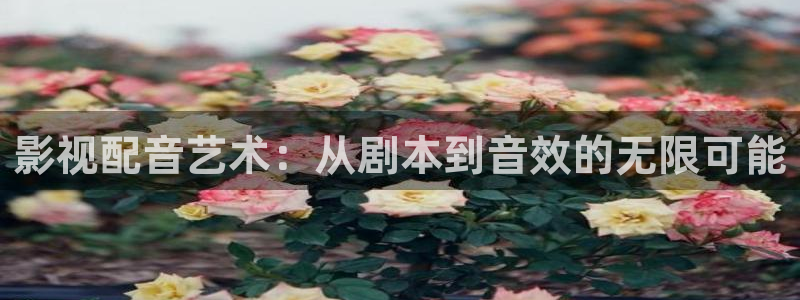 飘雪影院在线观看免费播放最新版：影视配音艺术：从剧本到音效的无限可能