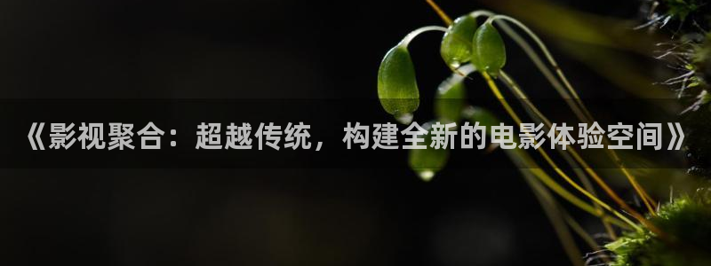 飘雪影院最新电影：《影视聚合：超越传统，构建全新的电影体验空间》