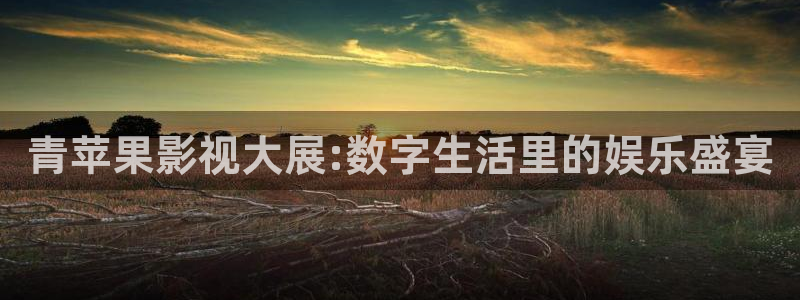 飘雪影院网