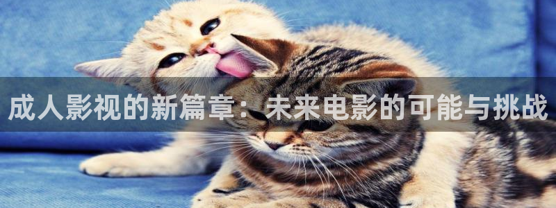 飘雪影院在线观看高清
